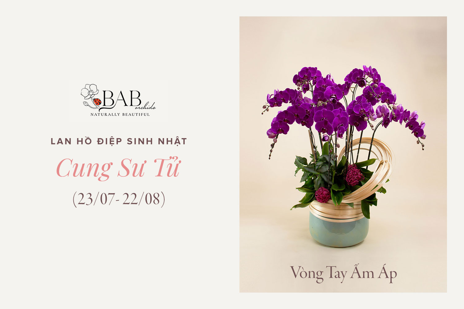 12 cung Hoàng Đạo hợp với mẫu hoa Lan sinh nhật nào?