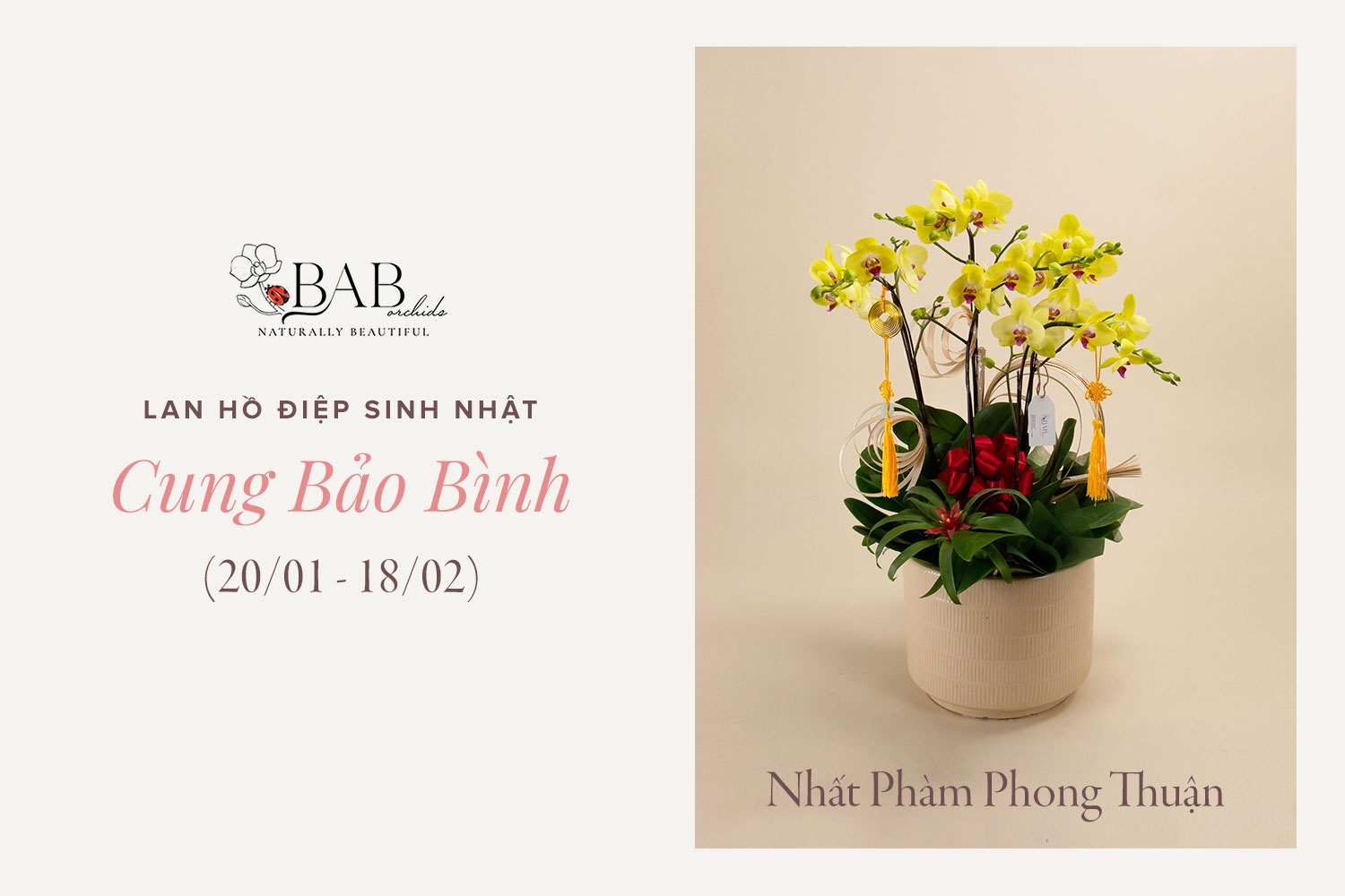 12 cung Hoàng Đạo hợp với mẫu hoa Lan sinh nhật nào?