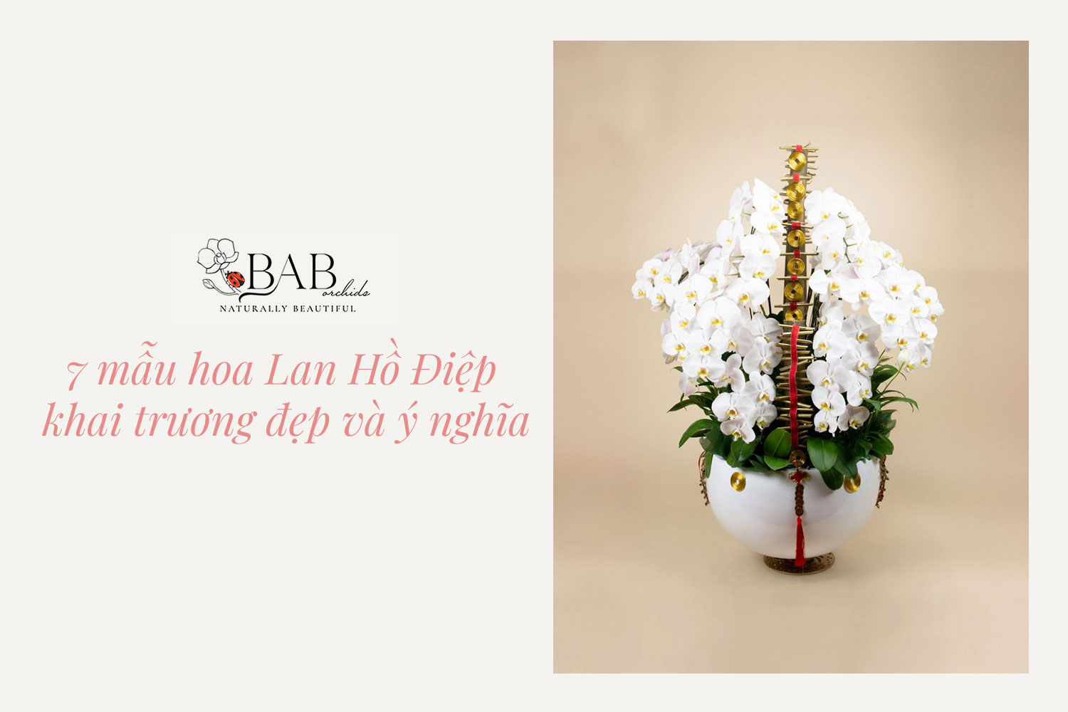 7 mẫu hoa Lan Hồ Điệp khai trương đẹp và ý nghĩa