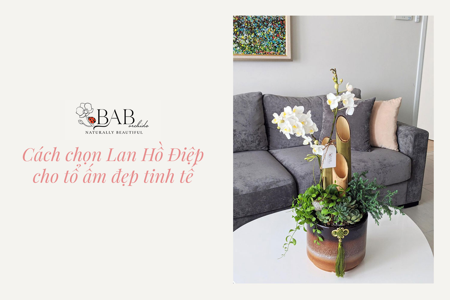 Cách chọn Lan Hồ Điệp cho tổ ấm đẹp tinh tế