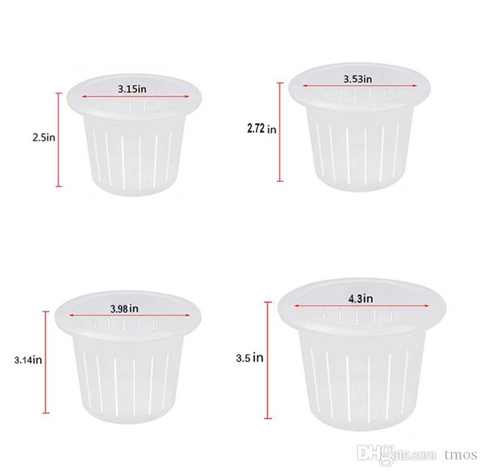 Bật mí cách chăm Lan Hồ Điệp ra hoa rực rỡ